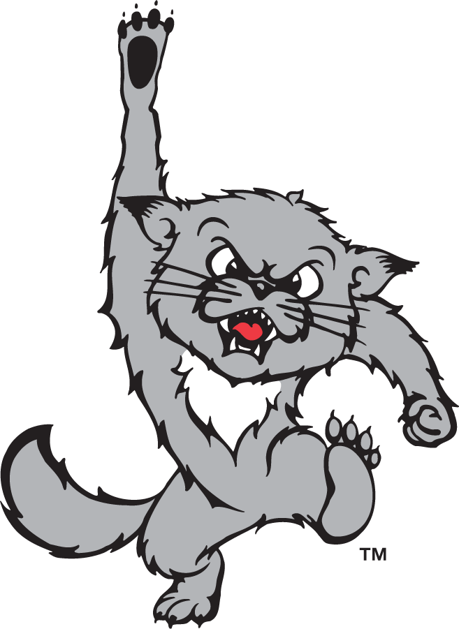 Cincinnati Bearcats 1995-2005 Secondary Logo iron on transfers for T-shirts
